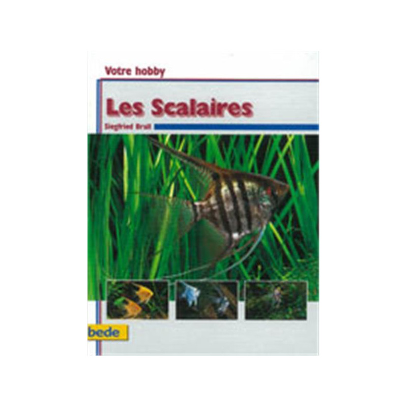 Scalaire Refs : Les Scalaires-> Descriptifs Poissons-> Combattant